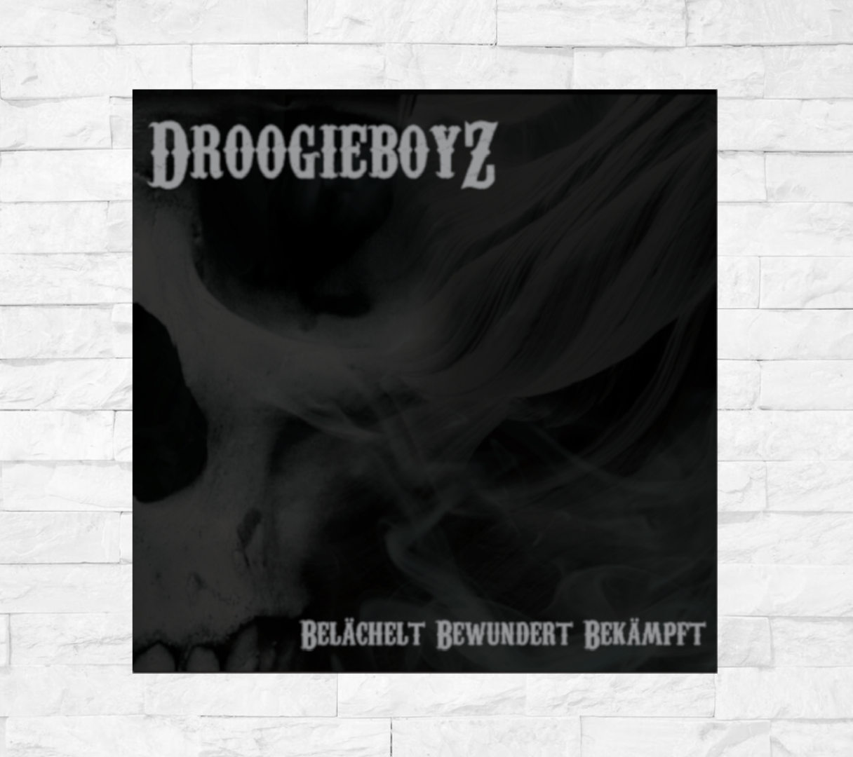 DROOGIEBOYZ - BELÄCHELT BEWUNDERT BEKÄMPFT (CD)