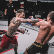 Laden Sie das Bild in den Galerie-Viewer, MMA Fighter T-Shirt "The Dom" black