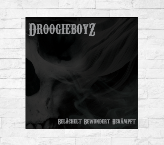 DROOGIEBOYZ - BELÄCHELT BEWUNDERT BEKÄMPFT (CD)